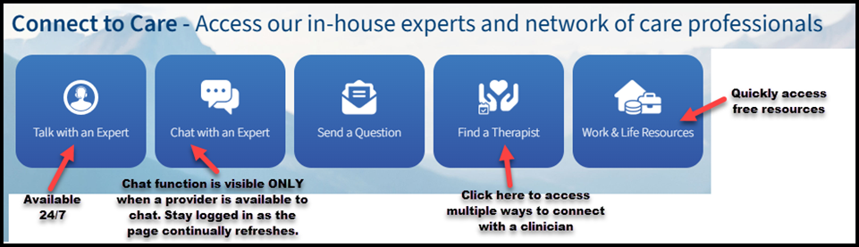 Screenshot of online portal showing how to connect to care