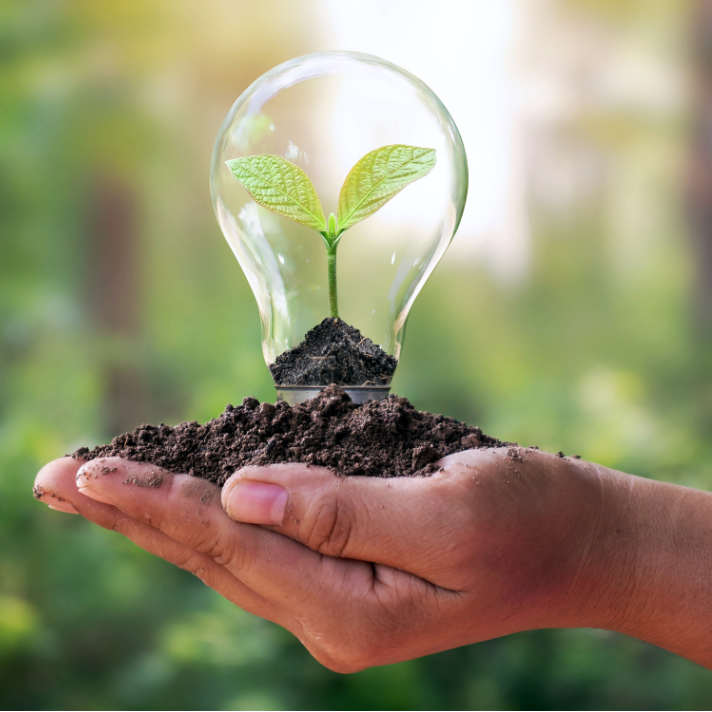 small plant growing in glass lightbulb being held in the palm of hand